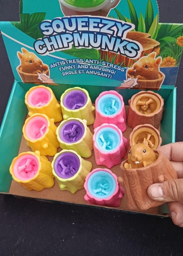 Caja x 12 squizzy de ardilla multicolores