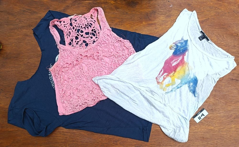 114 - Lote de Prendas de Dama: Jeans, Remeras Sin Cuellos, Musculosas y Varios